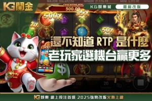 還不知道RTP是什麼